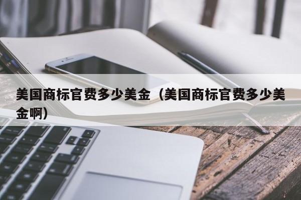美国商标官费多少美金（美国商标官费多少美金啊）