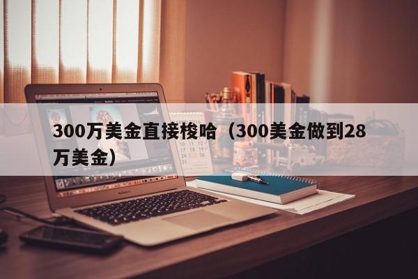 300万美金直接梭哈（300美金做到28万美金）