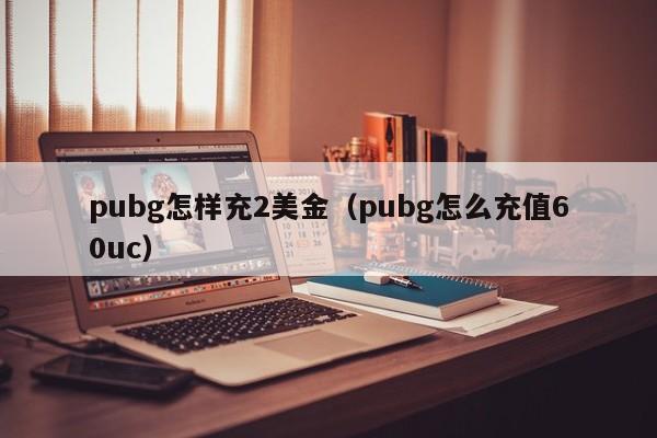 pubg怎样充2美金（pubg怎么充值60uc）