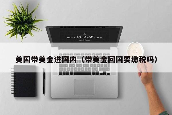 美国带美金进国内（带美金回国要缴税吗）