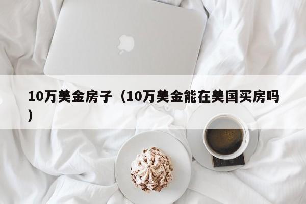 10万美金房子（10万美金能在美国买房吗）
