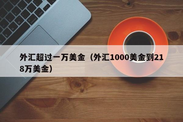 外汇超过一万美金（外汇1000美金到218万美金）