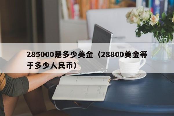 285000是多少美金（28800美金等于多少人民币）