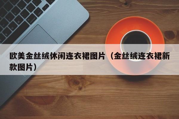 欧美金丝绒休闲连衣裙图片（金丝绒连衣裙新款图片）