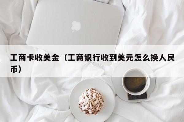 工商卡收美金（工商银行收到美元怎么换人民币）