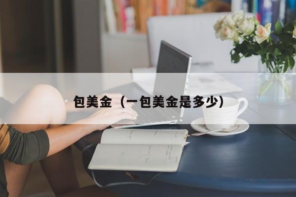 包美金（一包美金是多少）
