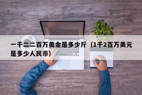 一千二二百万美金是多少斤（1千2百万美元是多少人民币）