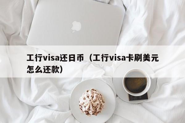 工行visa还日币（工行visa卡刷美元怎么还款）