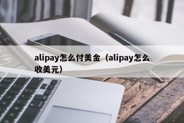alipay怎么付美金（alipay怎么收美元）