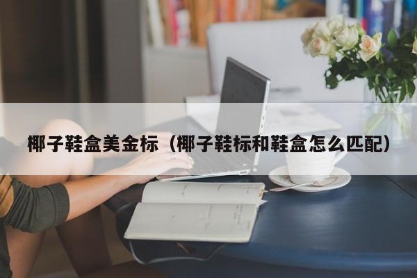 椰子鞋盒美金标（椰子鞋标和鞋盒怎么匹配）