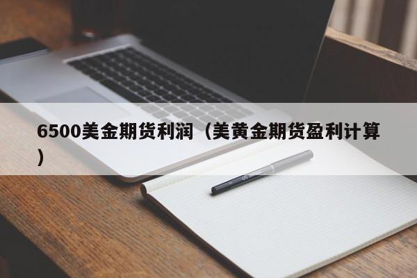 6500美金期货利润（美黄金期货盈利计算）