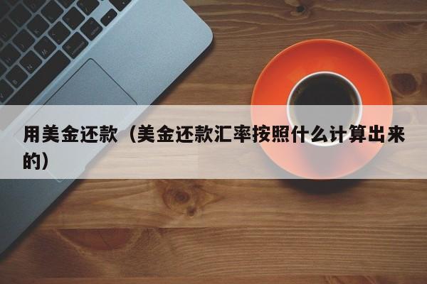 用美金还款（美金还款汇率按照什么计算出来的）