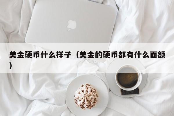 美金硬币什么样子（美金的硬币都有什么面额）