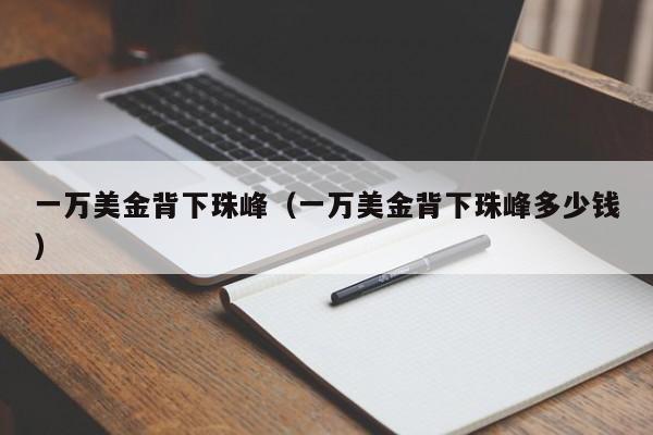 一万美金背下珠峰（一万美金背下珠峰多少钱）