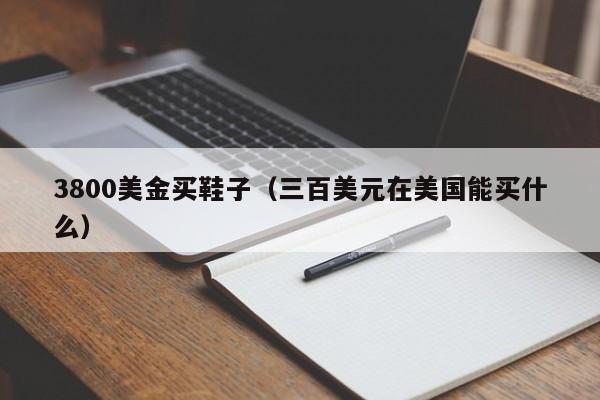 3800美金买鞋子（三百美元在美国能买什么）