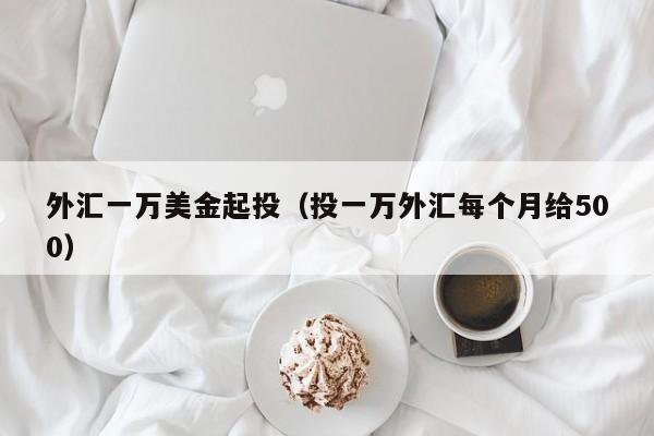 外汇一万美金起投（投一万外汇每个月给500）