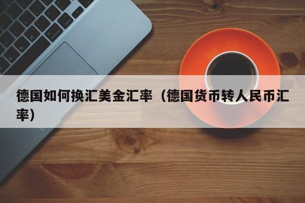 德国如何换汇美金汇率（德国货币转人民币汇率）