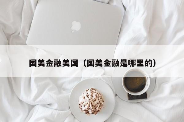 国美金融美国（国美金融是哪里的）
