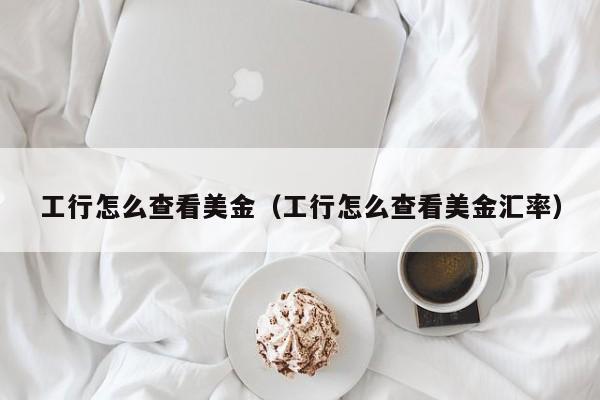 工行怎么查看美金（工行怎么查看美金汇率）