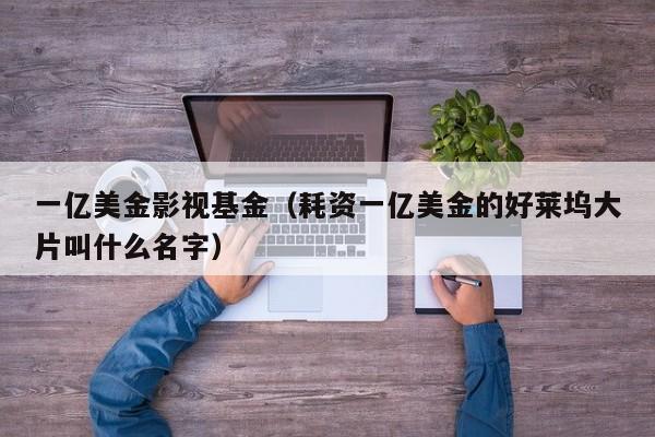 一亿美金影视基金（耗资一亿美金的好莱坞大片叫什么名字）
