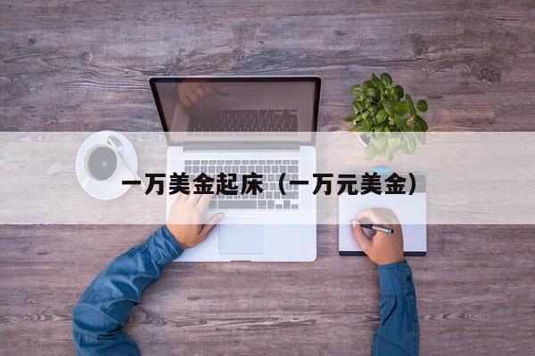 一万美金起床（一万元美金）
