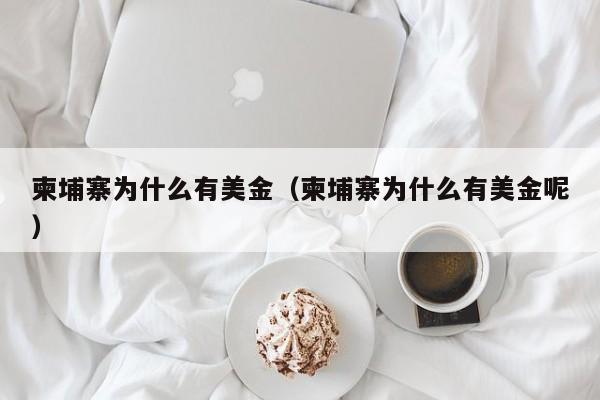 柬埔寨为什么有美金（柬埔寨为什么有美金呢）