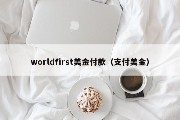 worldfirst美金付款（支付美金）
