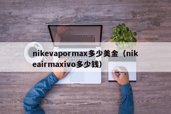 nikevapormax多少美金（nikeairmaxivo多少钱）