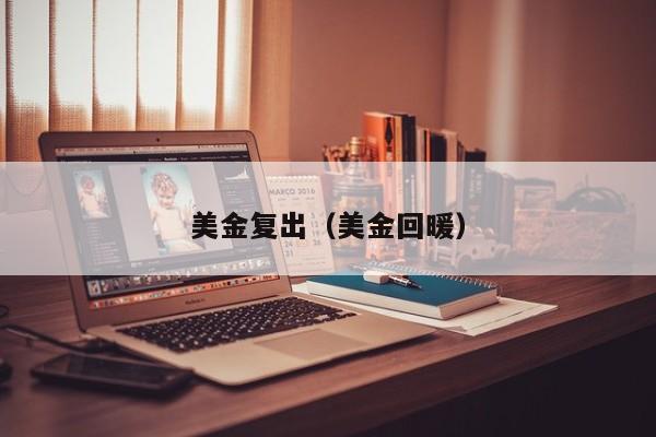 美金复出（美金回暖）