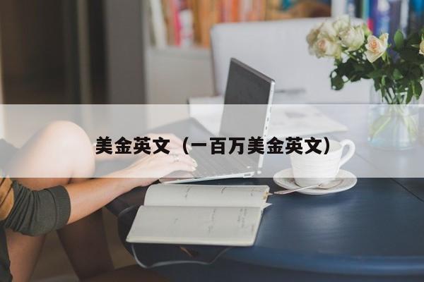 美金英文（一百万美金英文）