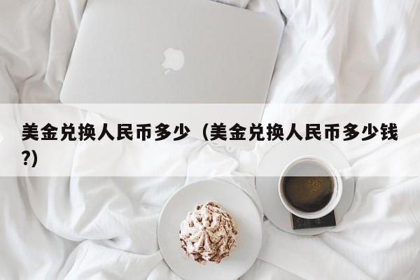 美金兑换人民币多少（美金兑换人民币多少钱?）