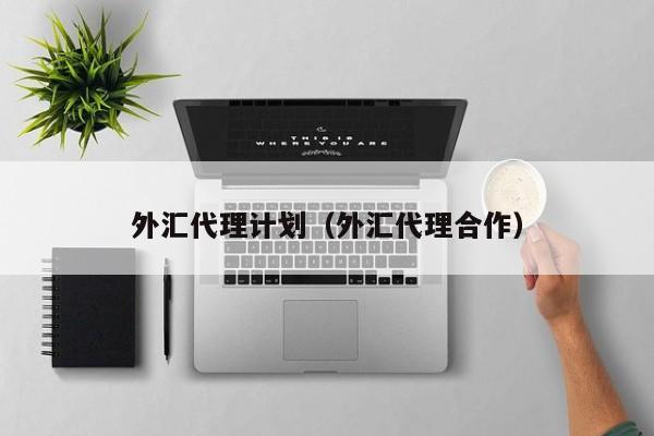 外汇代理计划（外汇代理合作）
