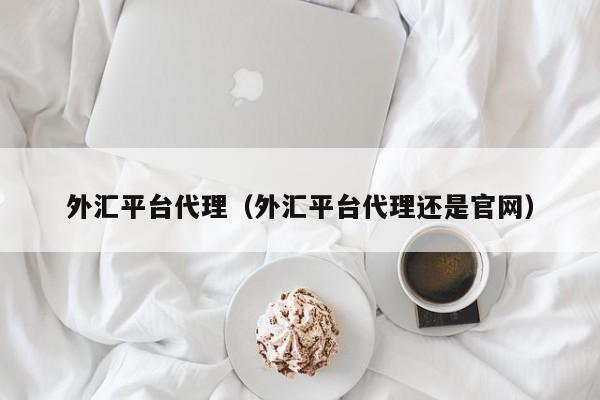 外汇平台代理（外汇平台代理还是官网）