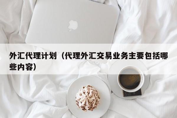 外汇代理计划（代理外汇交易业务主要包括哪些内容）
