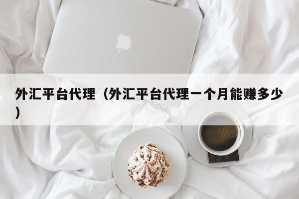 外汇平台代理（外汇平台代理一个月能赚多少）