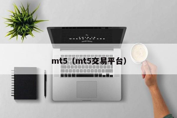 mt5（mt5交易平台）