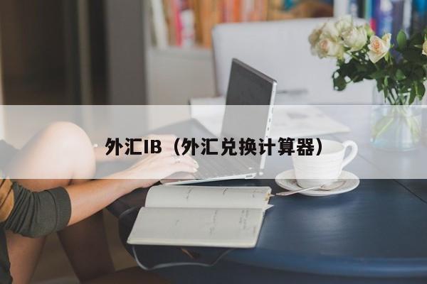 外汇IB（外汇兑换计算器）
