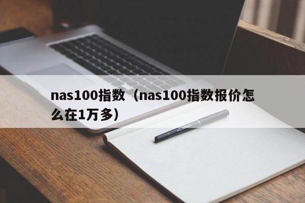 nas100指数（nas100指数报价怎么在1万多）