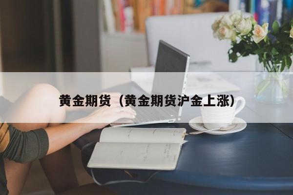 黄金期货（黄金期货沪金上涨）
