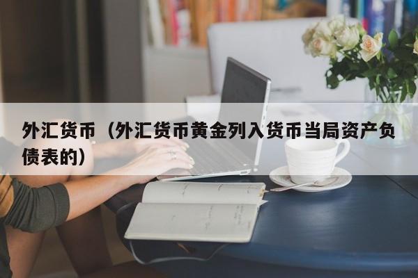 外汇货币（外汇货币黄金列入货币当局资产负债表的）